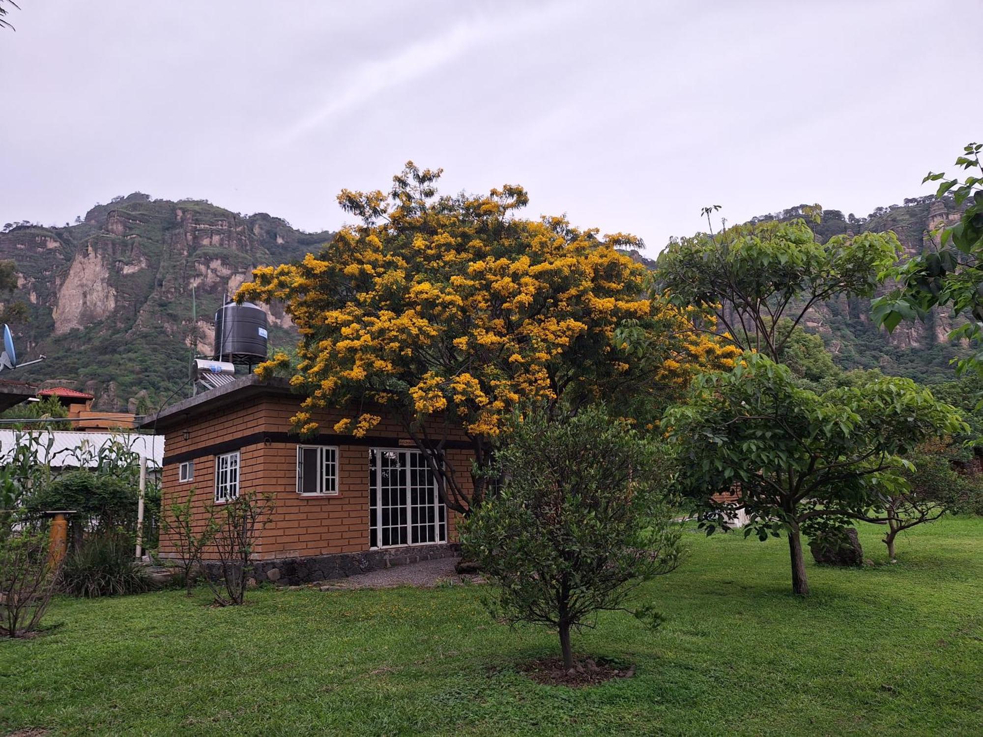 Posada Meztitla Tepoztlan Εξωτερικό φωτογραφία